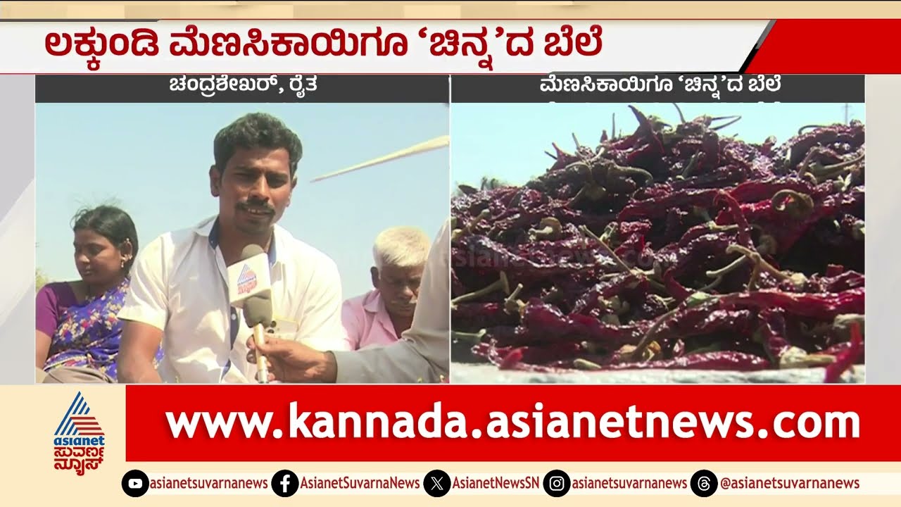 Gadag; ಲಕ್ಕುಂಡಿಯಲ್ಲಿ ಮೆಣಸಿನಕಾಯಿಗೂ ಸಿಕ್ತು 'ಚಿನ್ನ' ದ ಬೆಲೆ | Lakkundi Gold Treasure | Chilly Price
