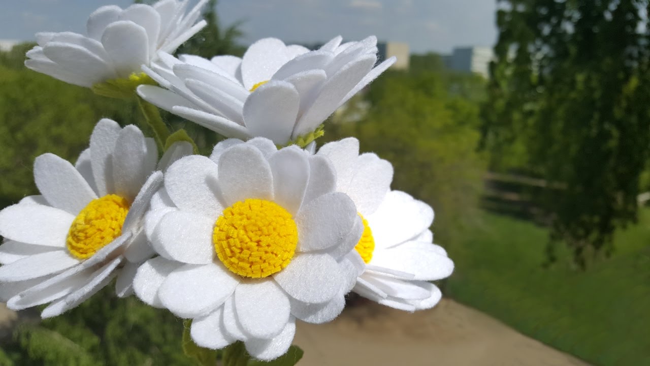 Ромашки из фетра своими руками, мастер-класс 🌼