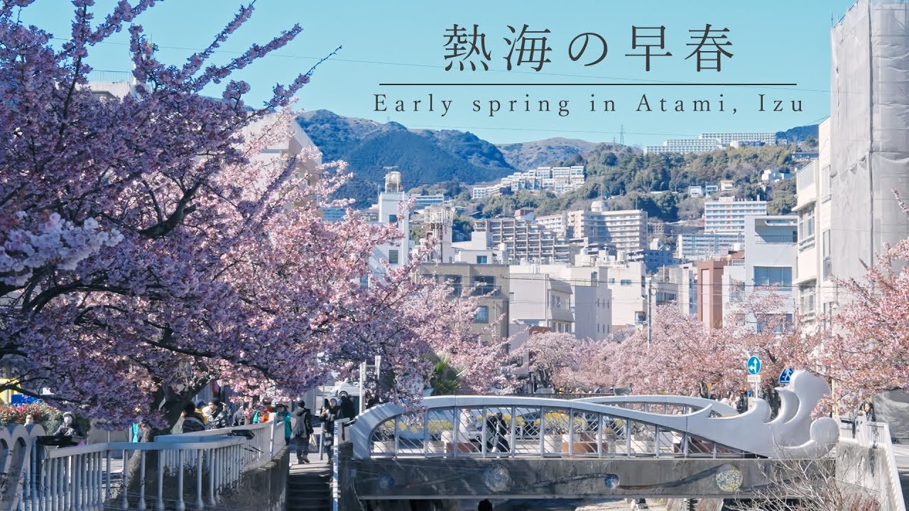 【ひとり旅】熱海の桜と梅スポットを巡る散策Vlog。｜糸川遊歩道｜熱海梅園【伊豆観光】/ Japan travel, Viewing Sakura and Plums in Atami, Izu.
