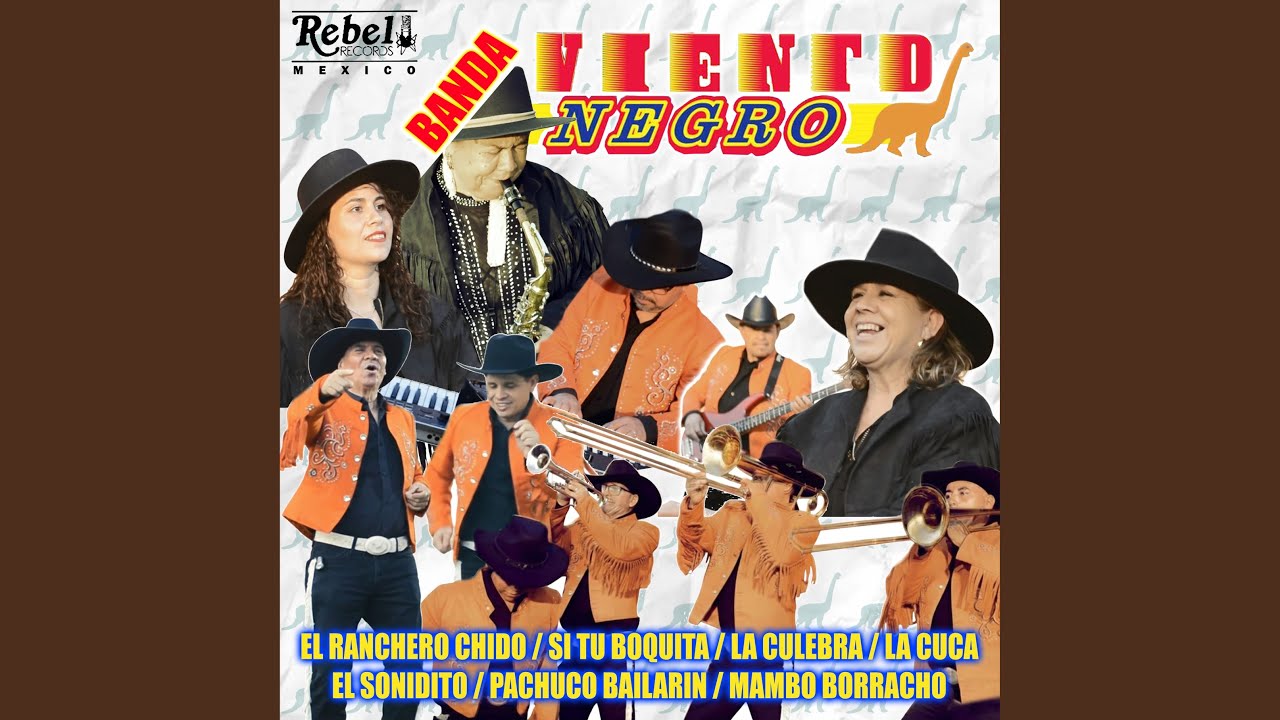 El Ranchero Chido / Si Tu Boquita / La Culebra / La Cuca / El Sonidito / Pachuco Bailarin /...