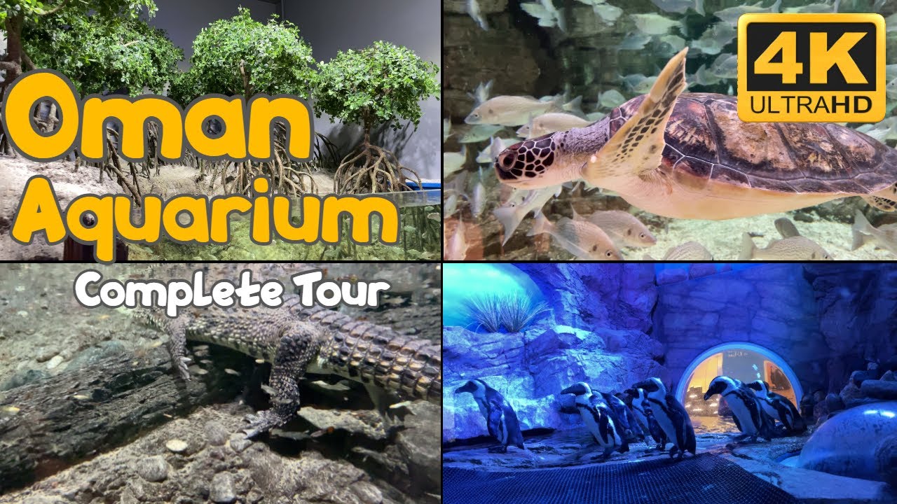 Oman Aquarium Complete Tour [4k] | Relaxing Video  | Largest Aquarium in Oman | with subtitles