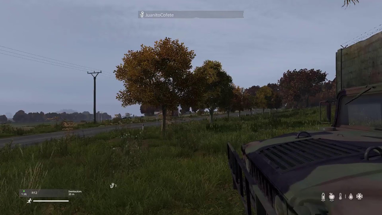 DayZ AMNESIA RP 🪖 directo🔴
