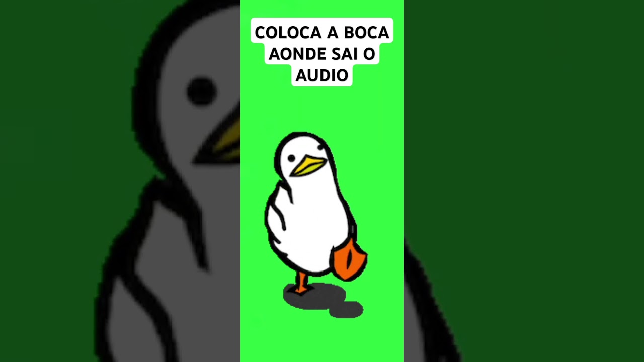 12 de dezembro de 2024
