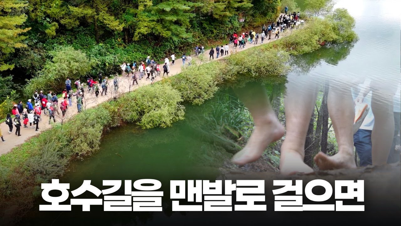 가을 단풍과 호수의 만남, 횡성호수길 걷기