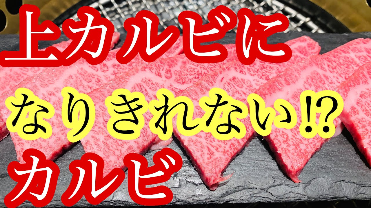 【中カルビ⁉︎】黒毛和牛バラ肉から上カルビになりきれない部位を捌きながら解説