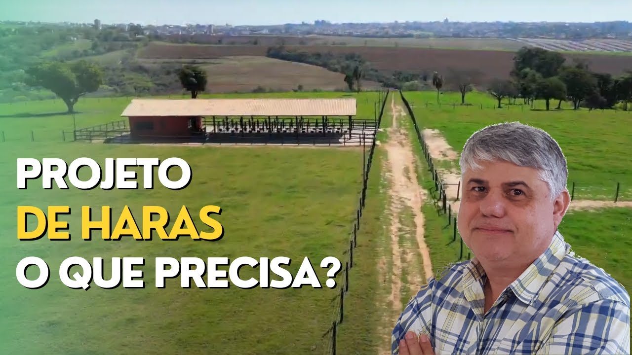 O QUE LEVAR EM CONSIDERA&Ccedil;&Atilde;O EM PROJETO DE PASTO DE HARAS? Ep#257
