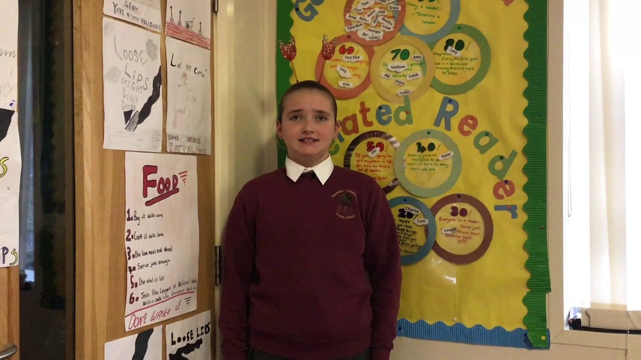 OWLS - Rowandale IPS Virtual Open Day