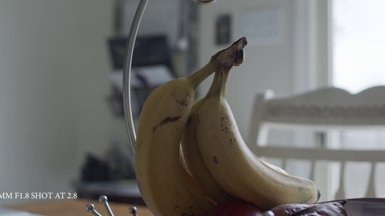 Vintage vs Modern lens Comparison on the BMPCC6K