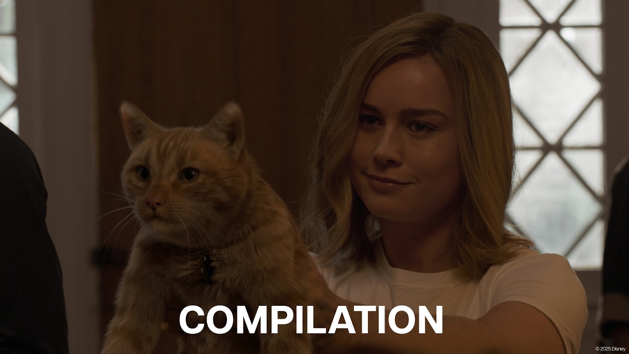 Animals of The MCU | Compilation