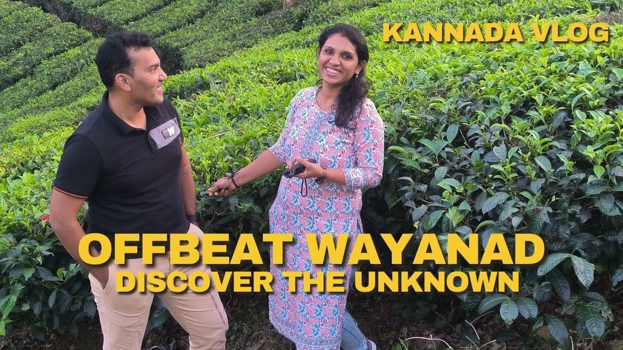 Offbeat Wayanad: Discover the Unknown | Day 1 | JUNGLE VALLEY RESORT
