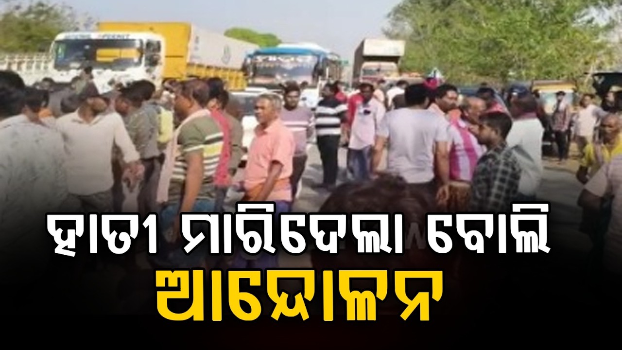 ହାତୀ ମାରିଦେଲା !. | Elderly Man Killed In Elephant Attack | Tension In Local Area | Argus News