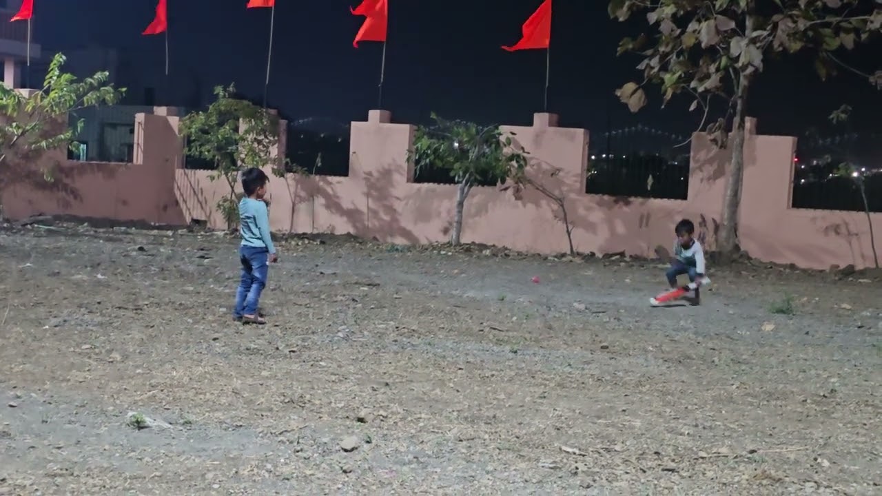 Cricket 