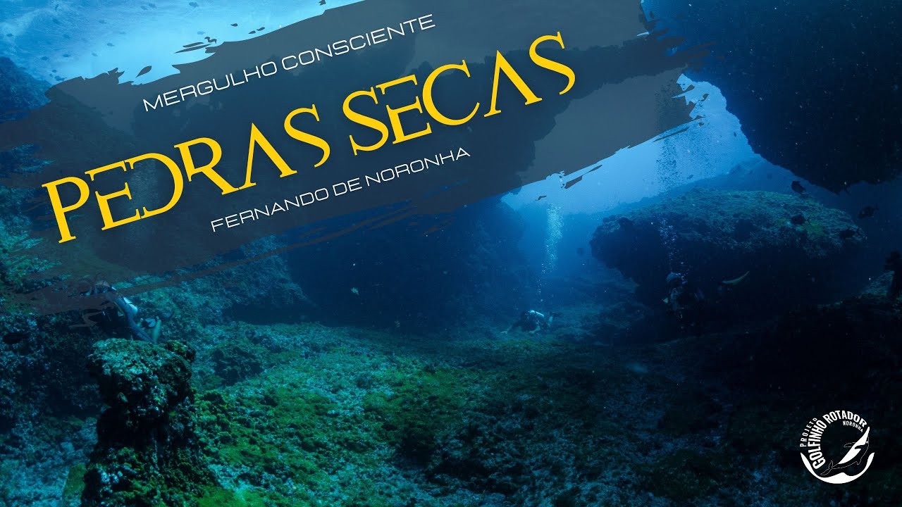 PEDRAS SECAS. Um mergulho consciente em um dos melhores pontos de mergulhos do mundo.