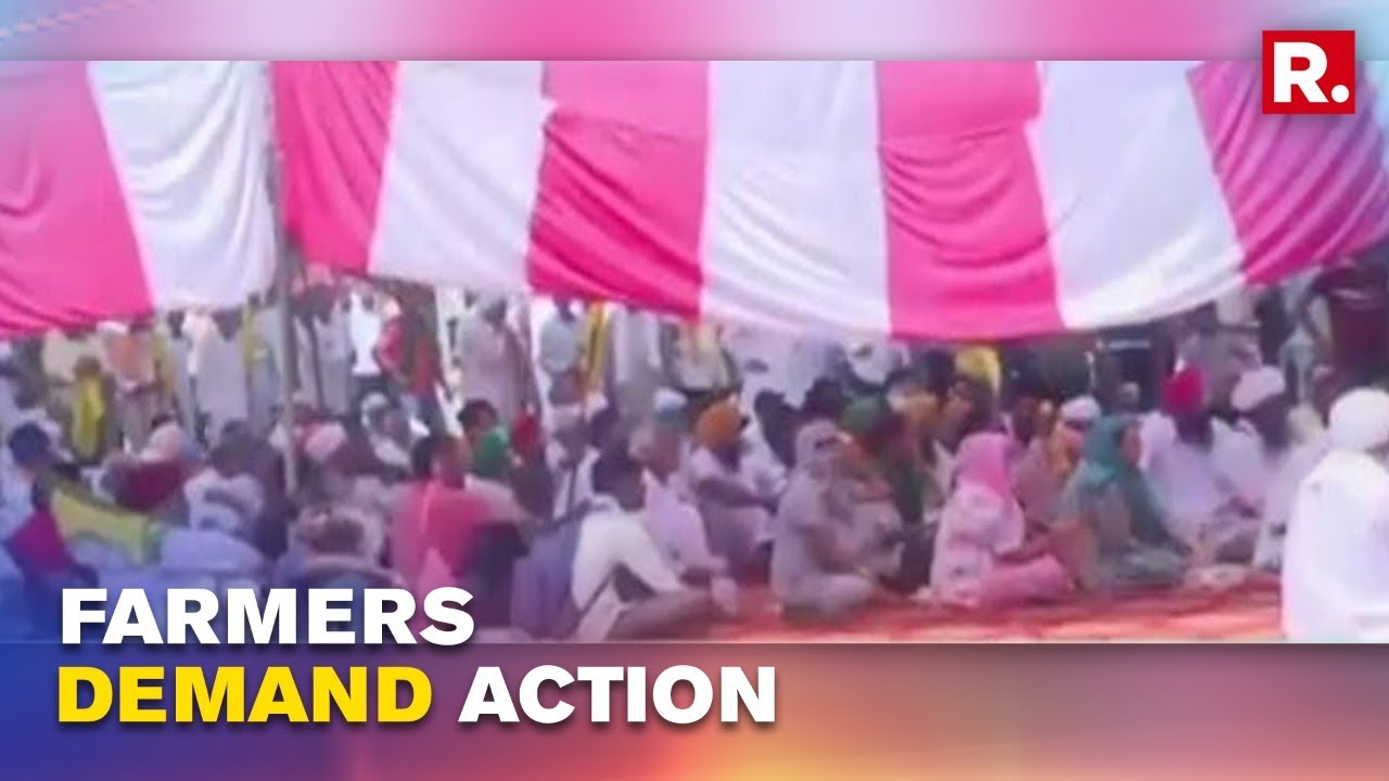 Haryana: Farmers Protest In Karnal, Demand Action Against SDM Who Ordered Lathi-charge On Protesters