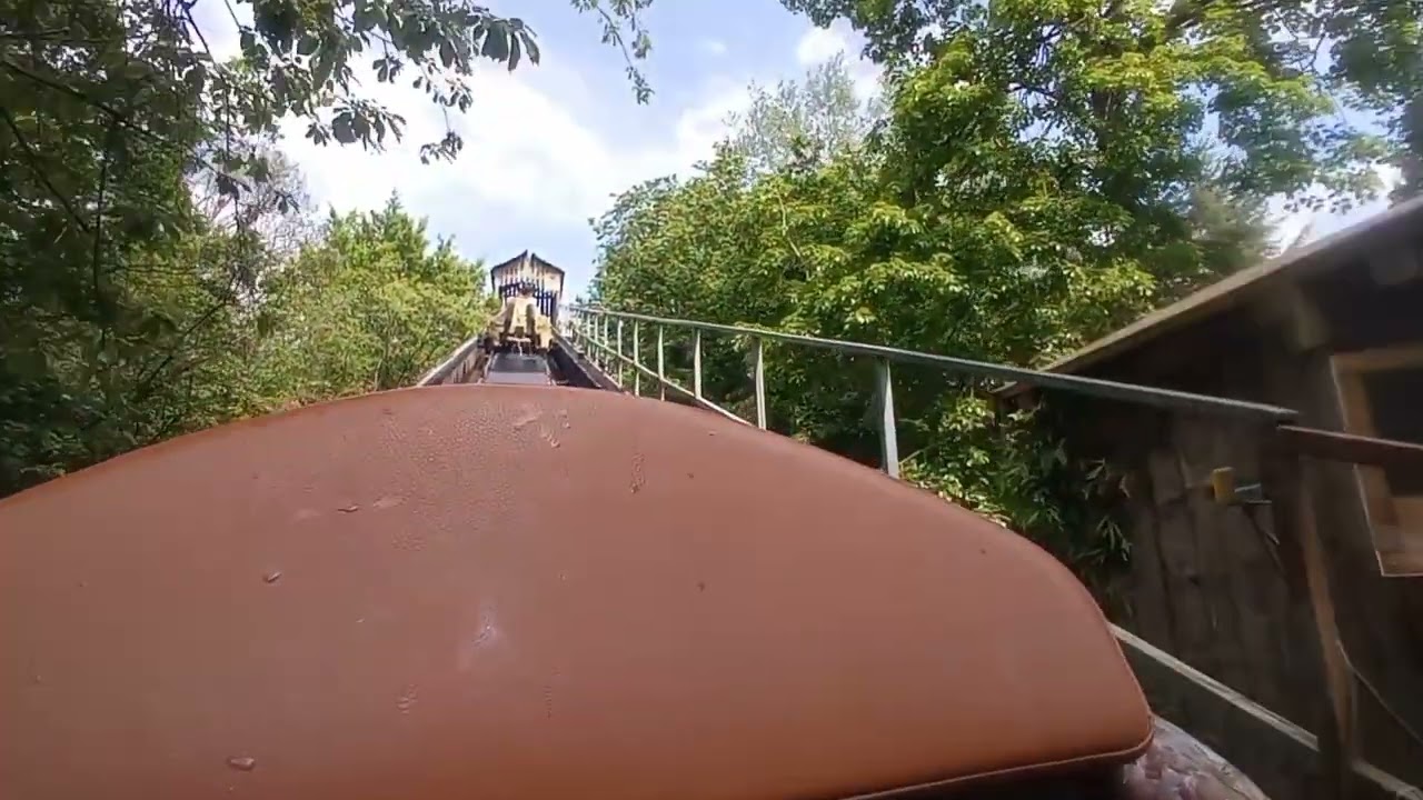 la bûche à Walygator