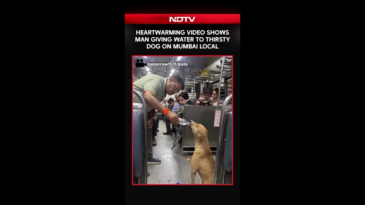 Mumbai News | Heartwarming Video Shows Man Giving Water To Thirsty Dog on Mumbai Local