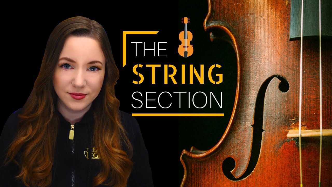 Instruments 101: Strings