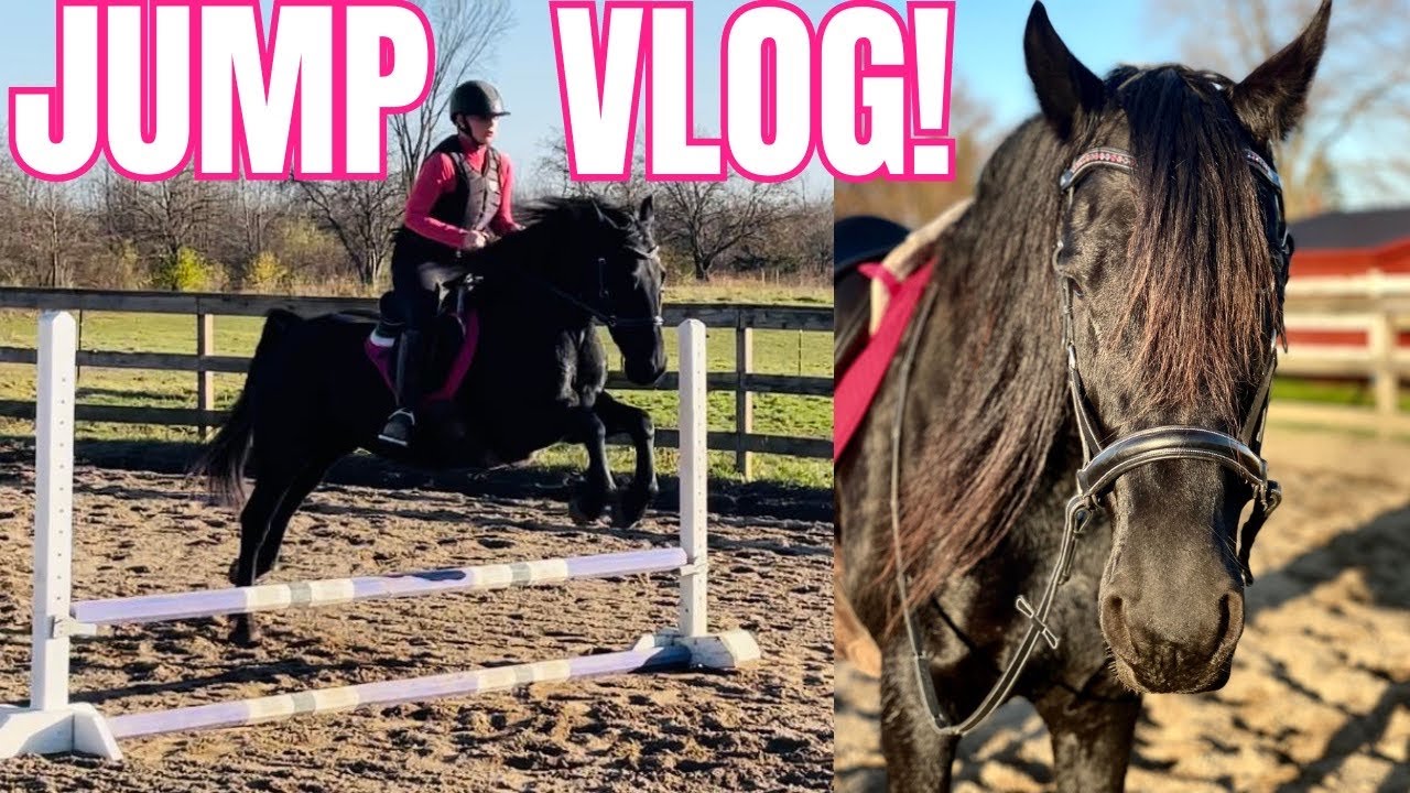 Jumping My Friesian Horse Bitless-What a Thrilling Ride!