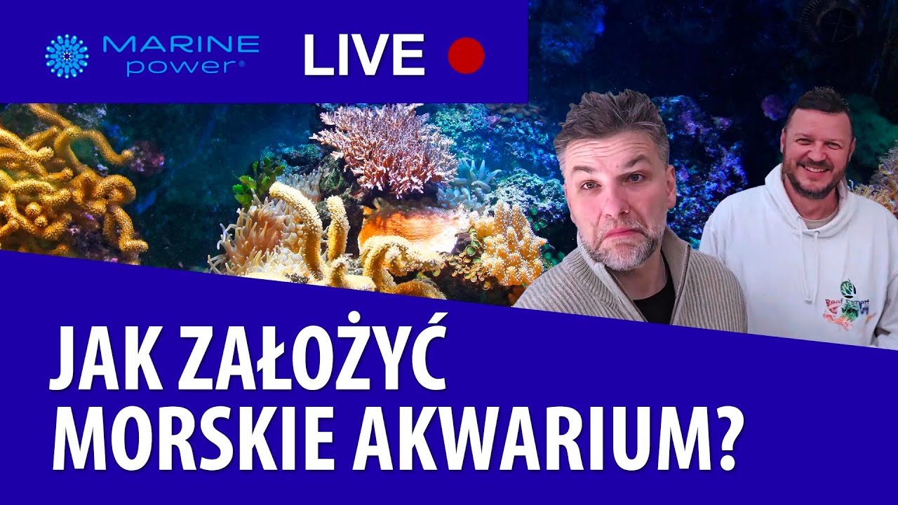 TROPICAL Marine Power Live | Jak założyć morskie akwarium? /How to set up a marine aquarium? (SUB)