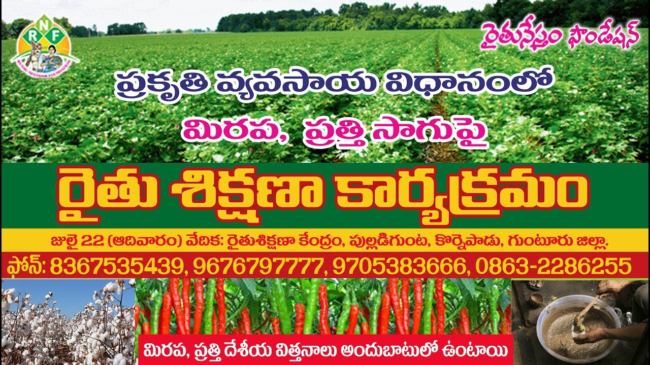 Training On Mirchi, Cotton Natural Farming - July 22, 2018 || Rythunestham Foundation