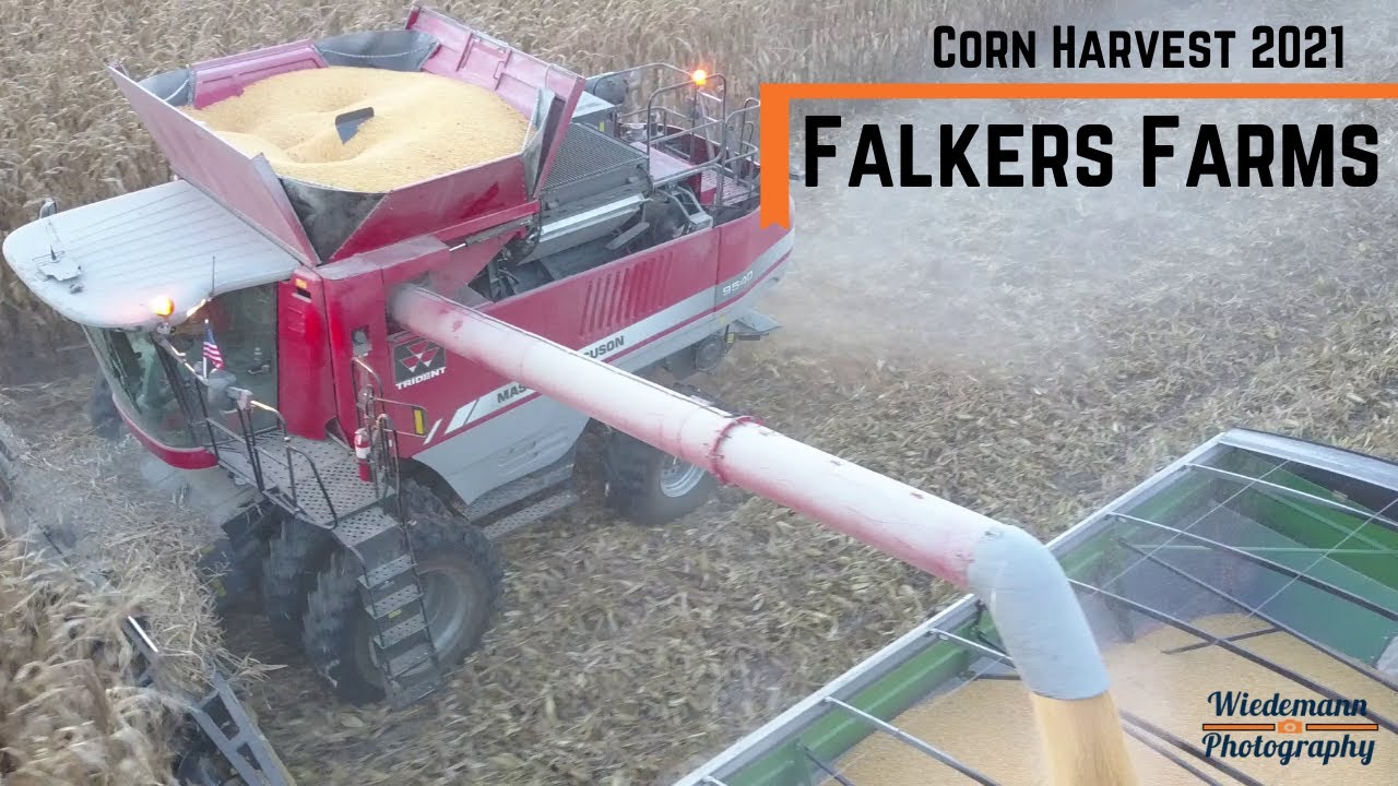 Falkers Farms - Corn Harvest 2021