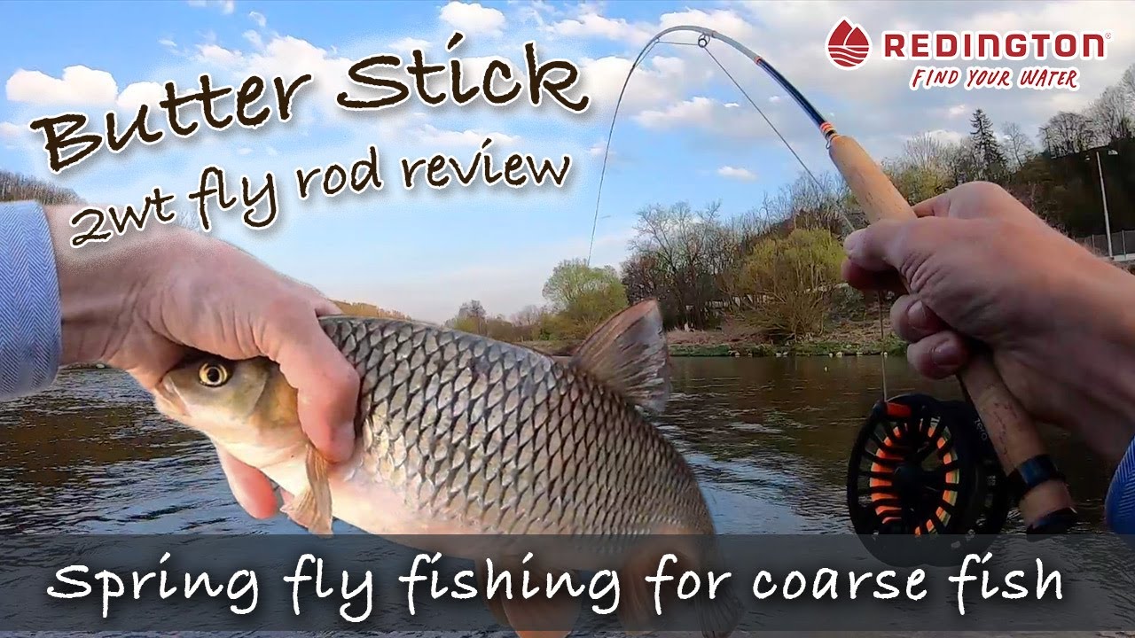 Fly fishing for COARSE FISH: big chub fishing challenge | BUTTER STICK 2wt fiberglass fly rod review