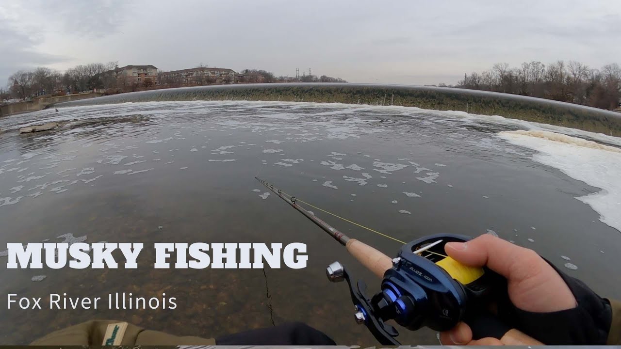 Musky fishing the Fox river in Illinois