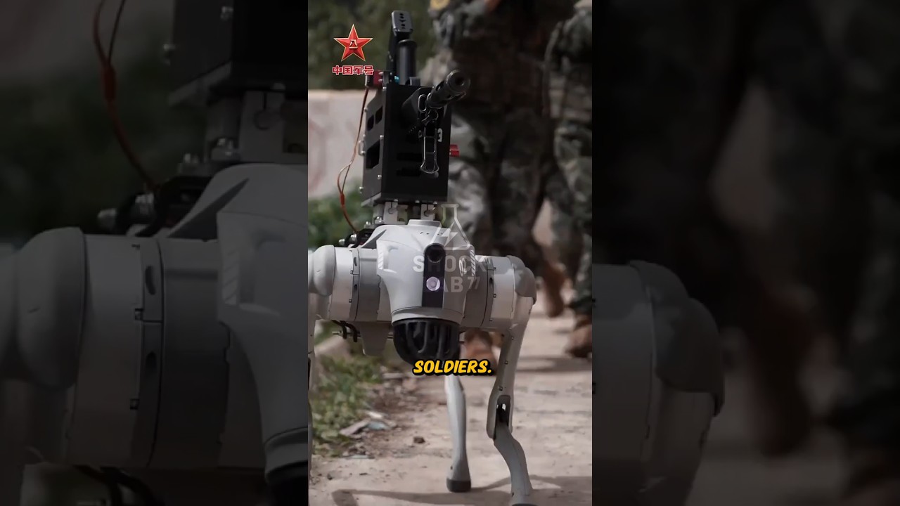 China’s Robot Dog of the Future💯 