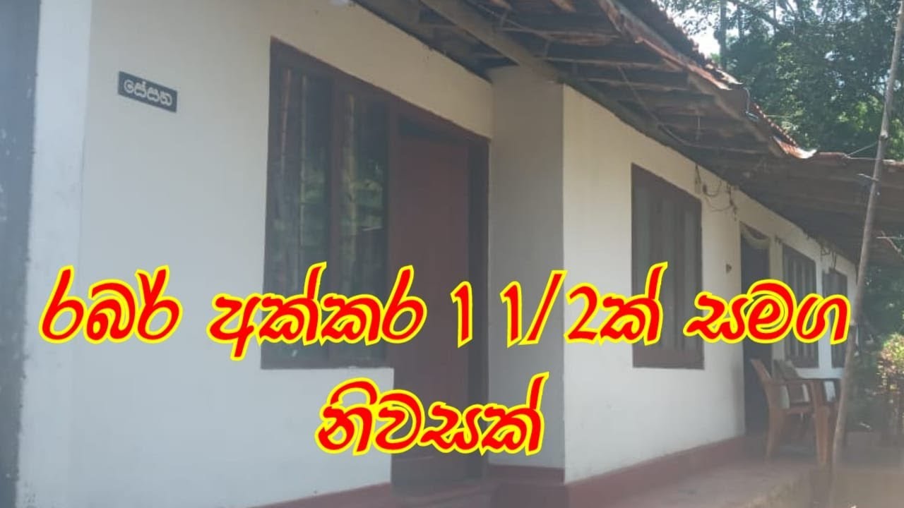 Rubber Land For Sale /House For Sale In kegalle /Best Selling Land