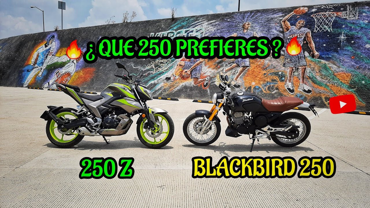 BLACKBIRD 250 VS 250 Z (LAS REYNAS 250 DE ITALIKA) CUAL COMPRARÍAS CAFÉ RACER O NAKED 🔥