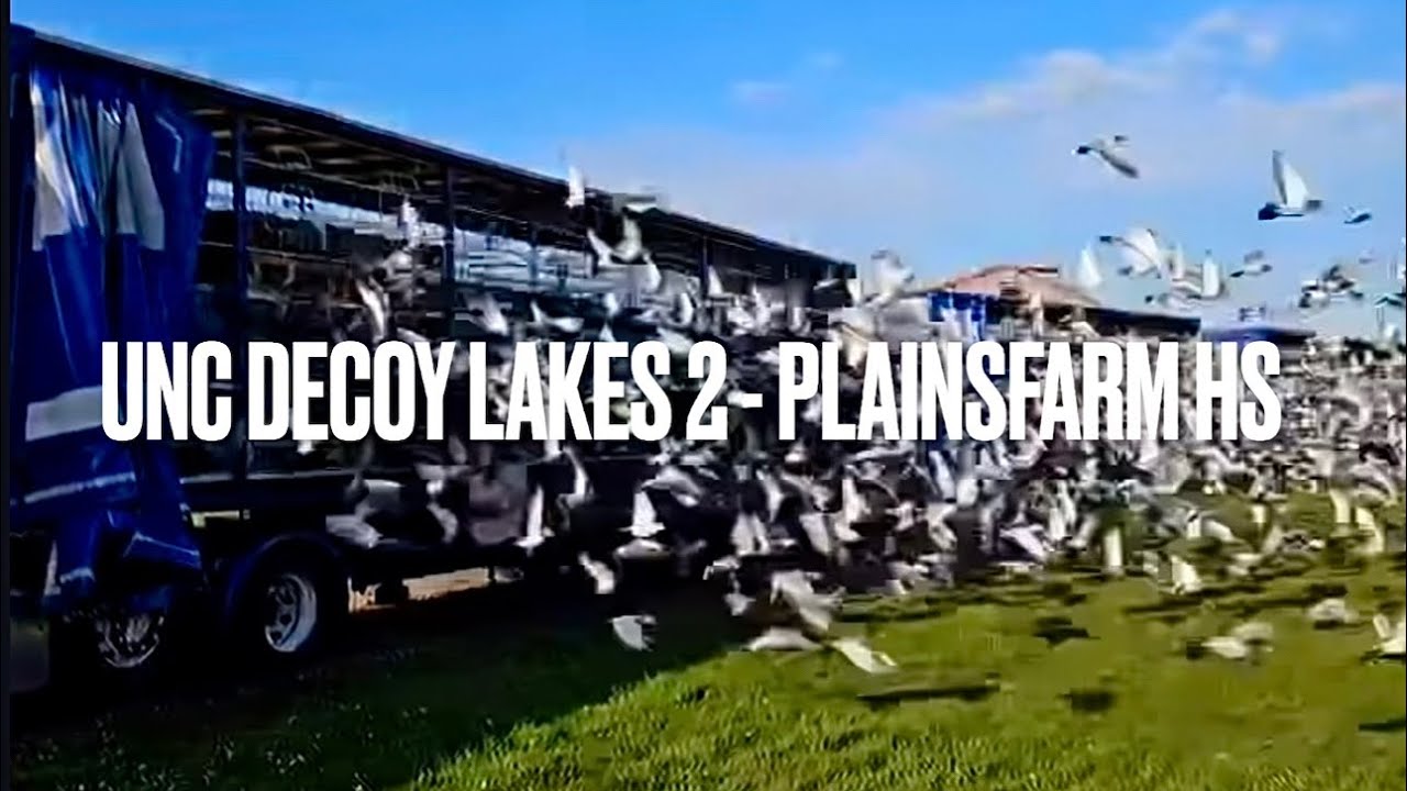 UNC DECOY LAKES 2 - 2025 Гонки голубей (липкая гонка)