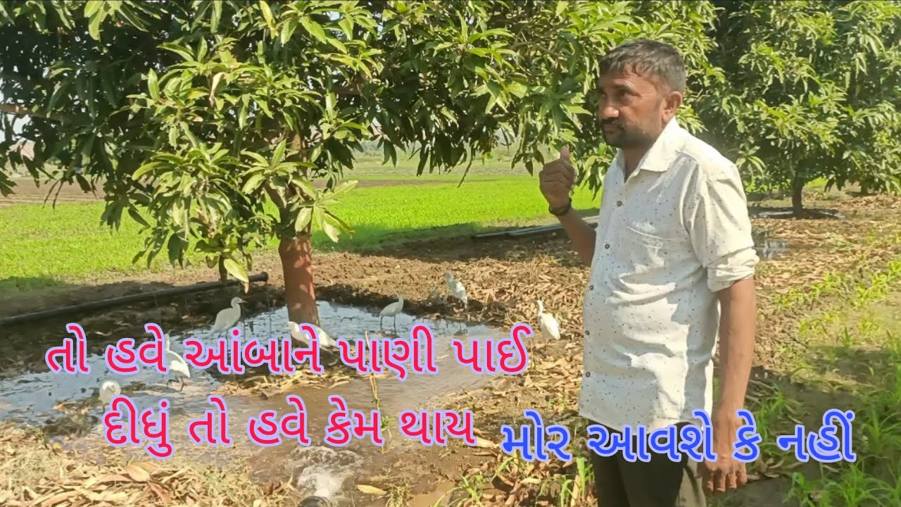 તો હવે આંબા ને મોર આવશે#vairalvideo #trending #Gujarati video#YouTube video 