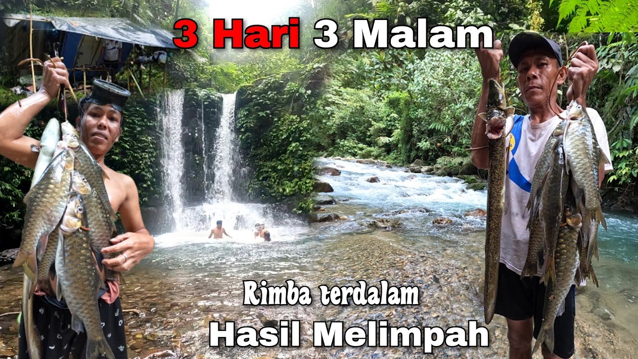 Wildlife Adventure!! Petualangan Hutan Liar Dengan Hasil Memuaskan