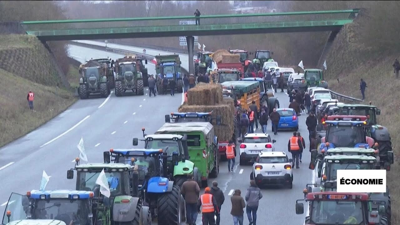 Pacte vert : un &eacute;l&eacute;ment qui alimente la grogne agricole dans l'UE &bull; FRANCE 24