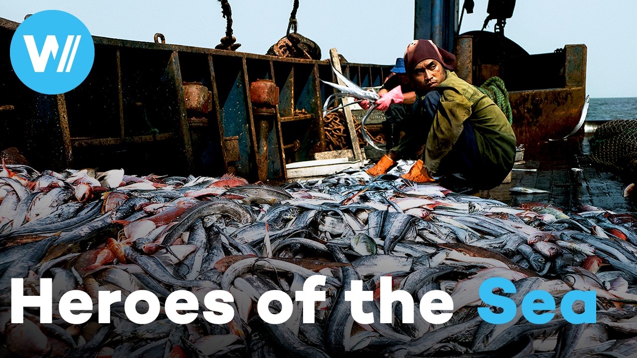 Illegal Fishing, Plastic Waste & Climate Change: The Truth About What's Really Killing Our Oceans