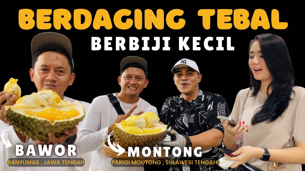 HAMPIR SAMA ⁉️ DURIAN BAWOR DAN DURIAN MONTONG #durian #durianbawor #durianmontong #masduren