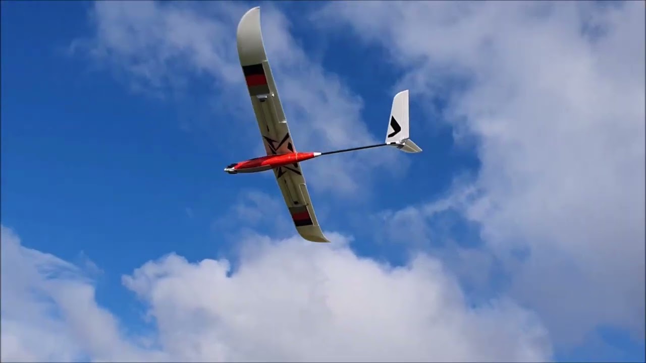 Der Falke am Haushang - Best of 2025
