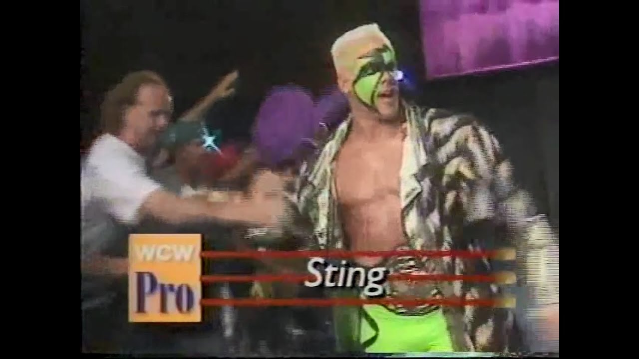 Sting vs Bunkhouse Buck   Pro Sept 9th, 1995