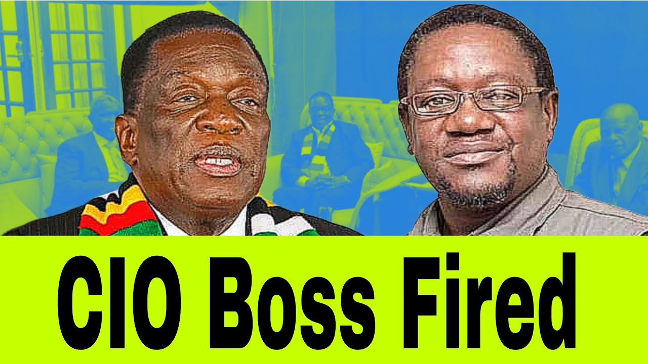 Chaputika | Mnangagwa to Fire CIO Boss | hanzi akaramba kubata Geza