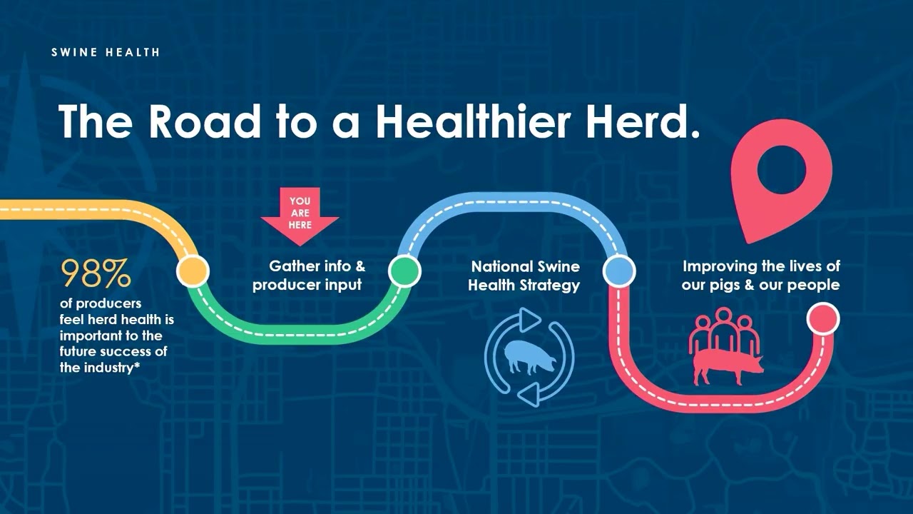 National Swine Health Strategy