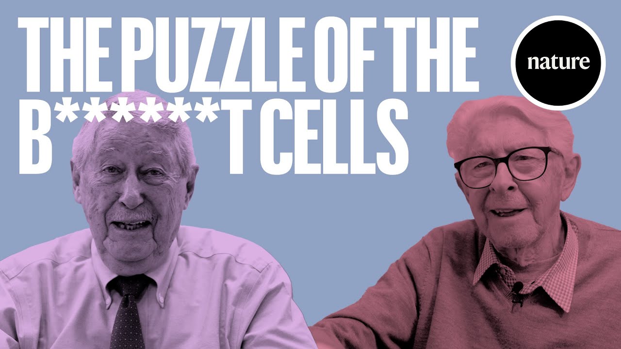 The puzzle of the B******T cells