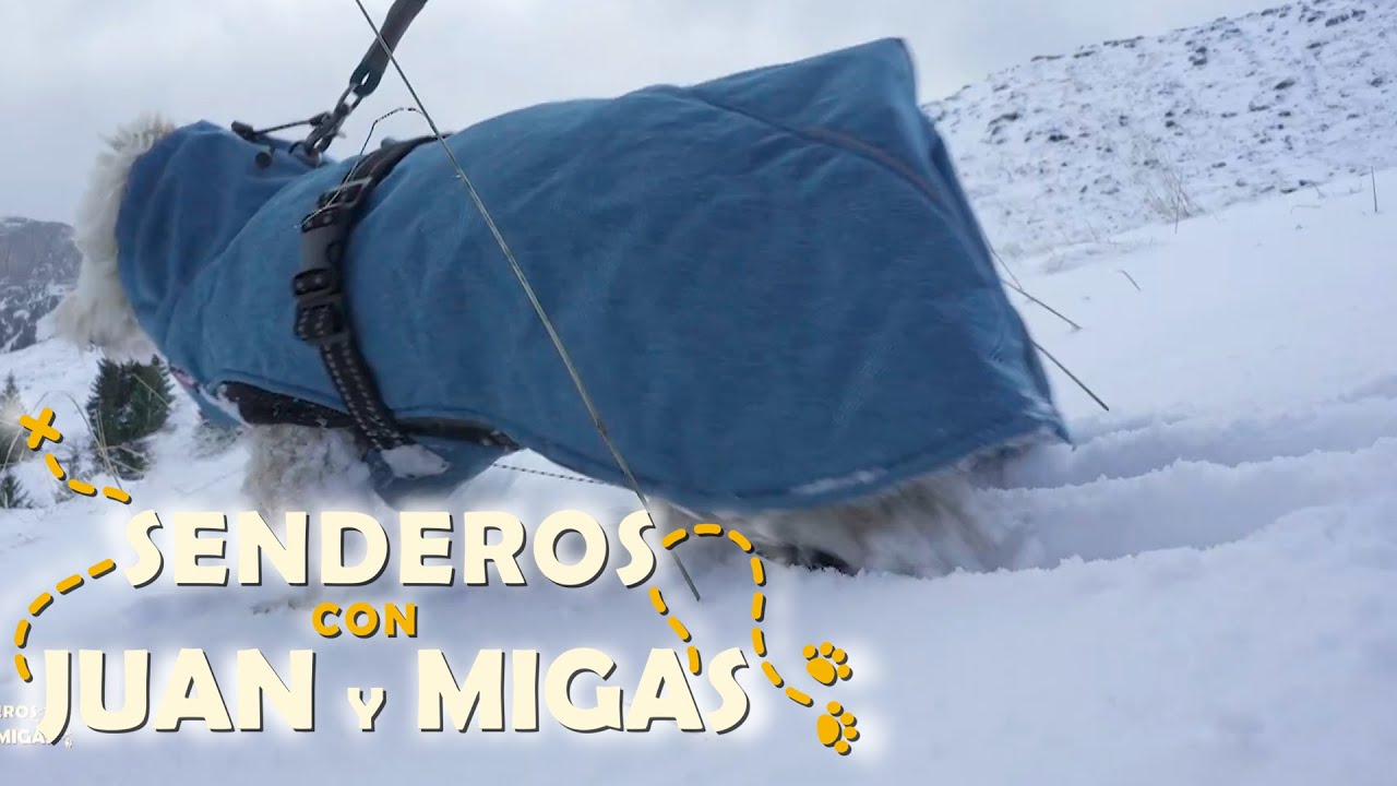 Senderos con Juan y Migas - Suiza | La2