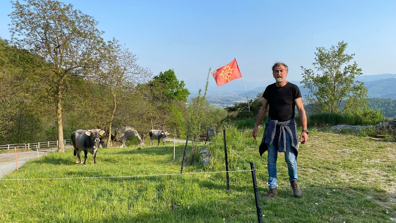 Az.agricola “La Fissello” F.lli Donadio vacche Grigio Alpina nuovo punto vendita Villar S.Costanzo