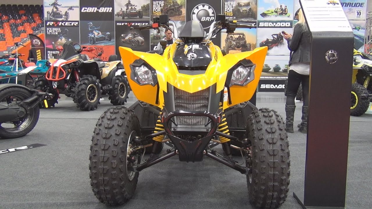 BRP Can-Am DS 250 (2019) Exterior and Interior