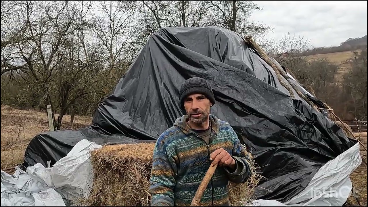 OIlE ȘI CAPRELE LUI HATOS MITITEAN IOAN.DIN FELEAC .B-N .CRESTE OI ȘI CAPRE.DIN DRAGOSTE .
