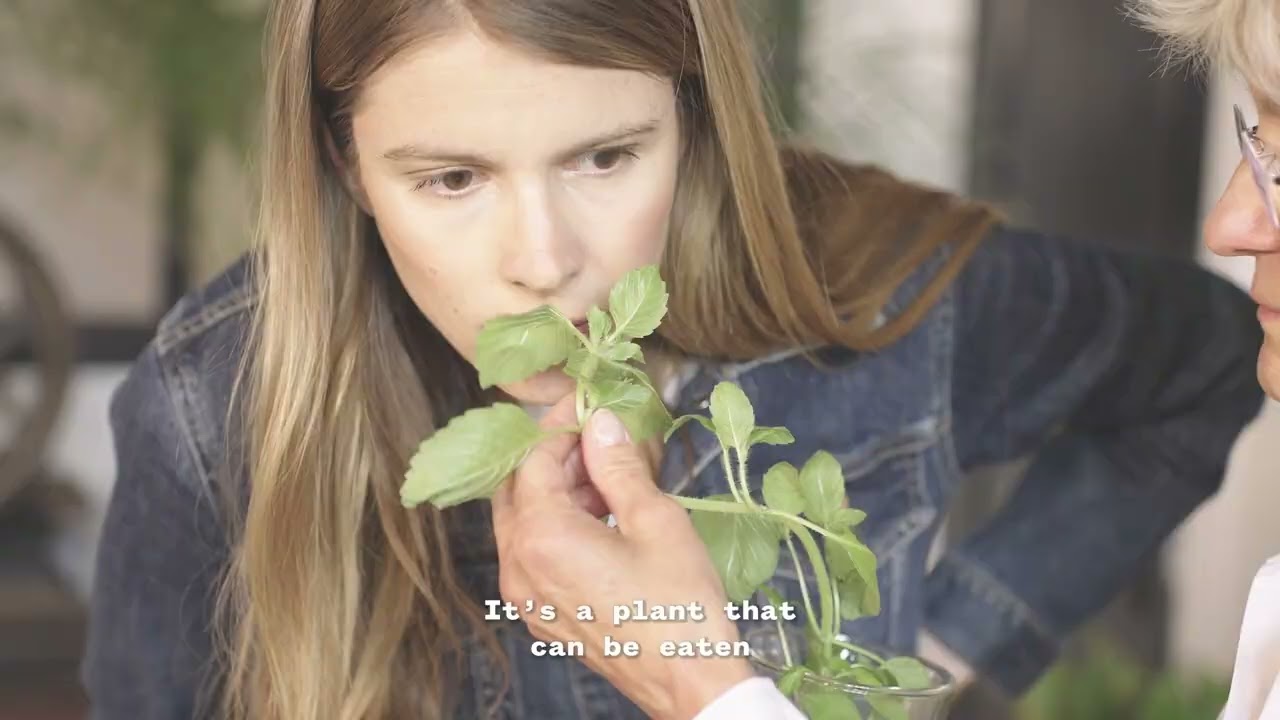 Ulé Insiders // Episode 3 : Nutrition et beauté
