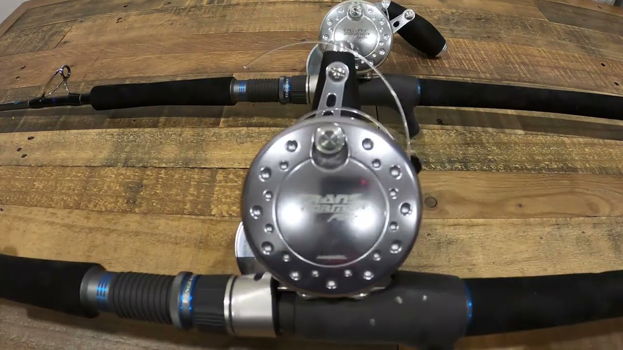 Kingfish Live bait setup and Rig (cable tie method)