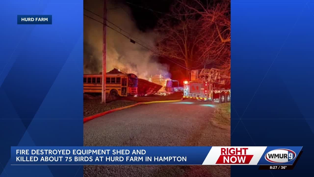 Fire destroys equipment shed and killed about 75 birds at Hurd Farm in Hampton