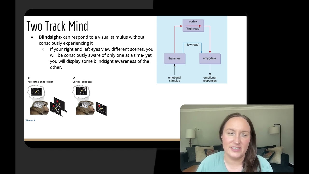Mod 1.5A Consciousness:  AP Psych