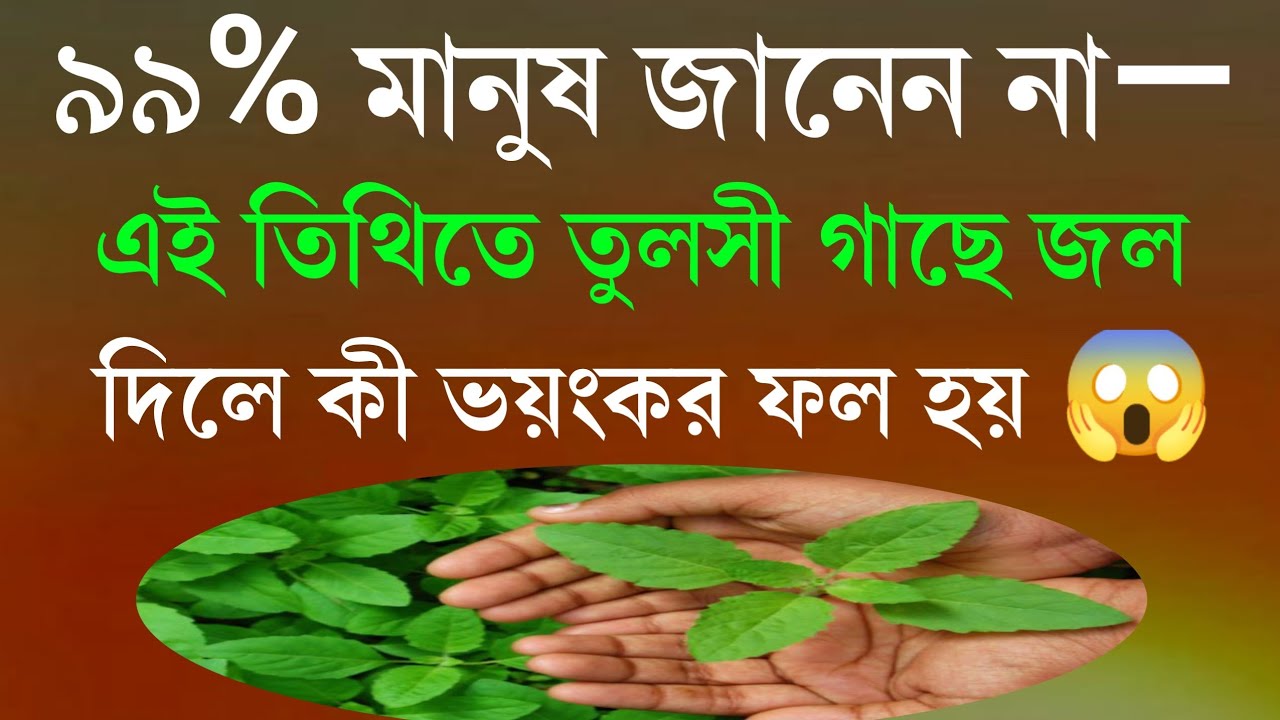 ৯৯%মানুষ জানেন না -এই তিথিতে তুলসী গাছে জল দিলে কি ভয়ঙ্কর ফল হয়.Story Bangla||Motivational Qut.